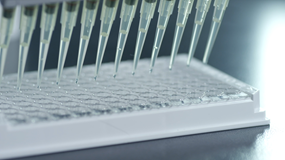 Initiation of Various Clinical Trials of PD-1/VEGF Bispecific Antibody (AK112)